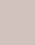 10109 Irish Cream