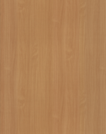 10226 Bavarian Beech
